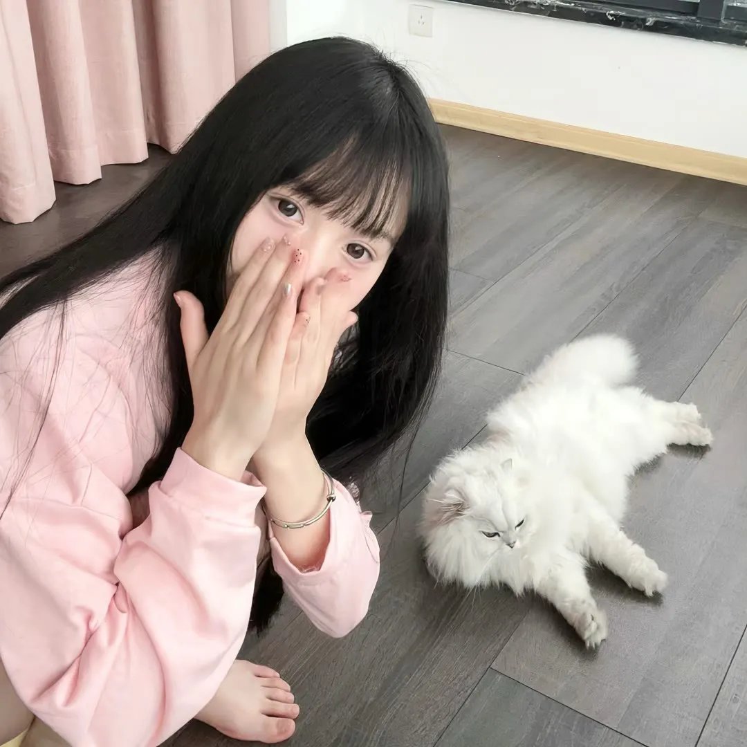 伊沃克人：为恩多而战