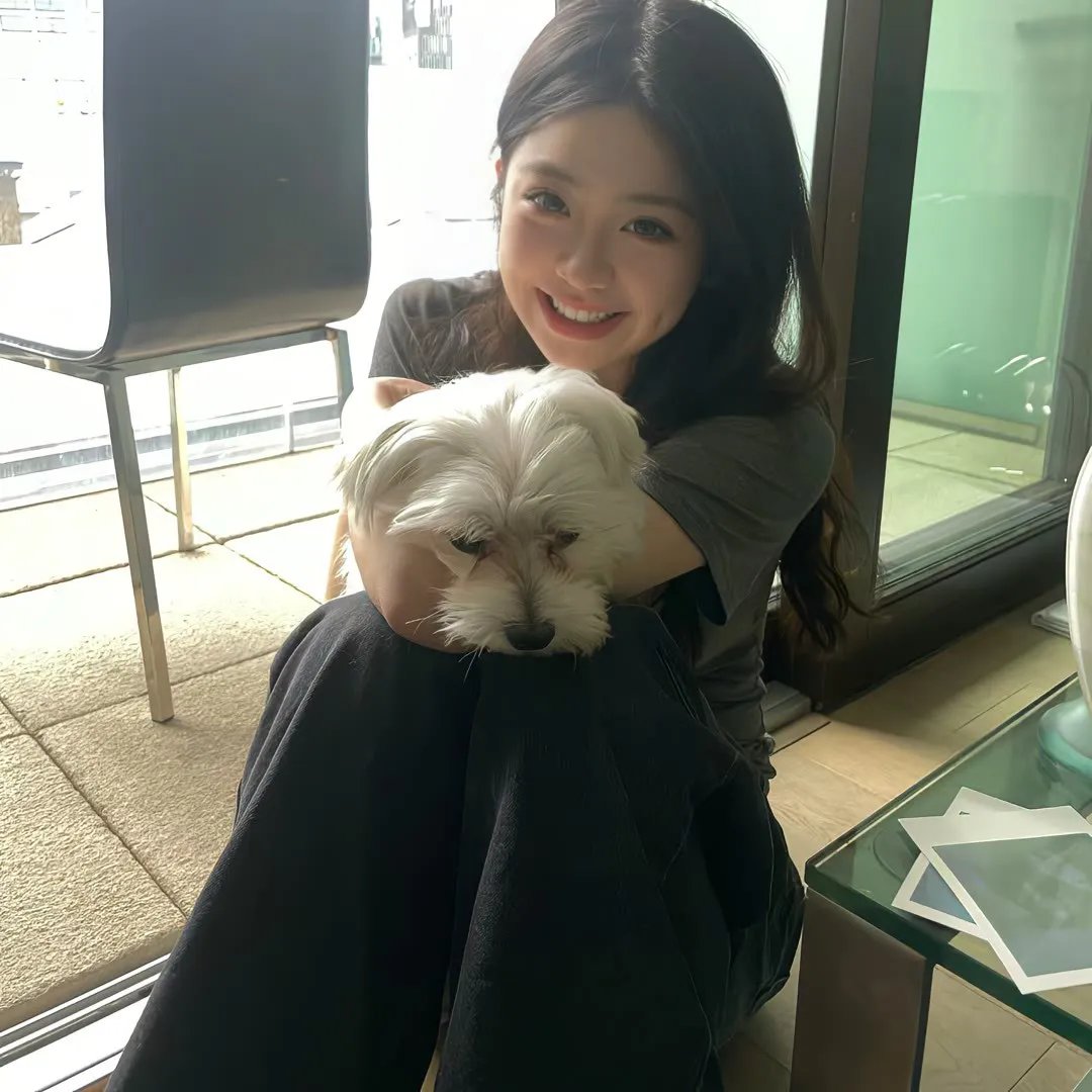 鬣狗式生存日版